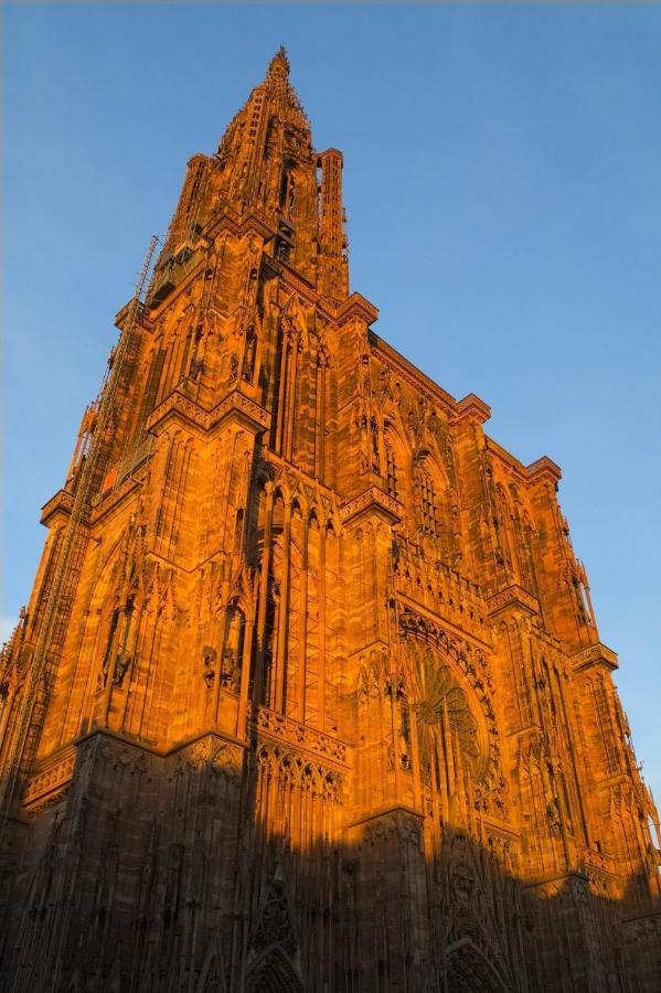 Au Coeur De Strasbourg, 3 Pieces Vue Sur L'Ill! Appartement Buitenkant foto