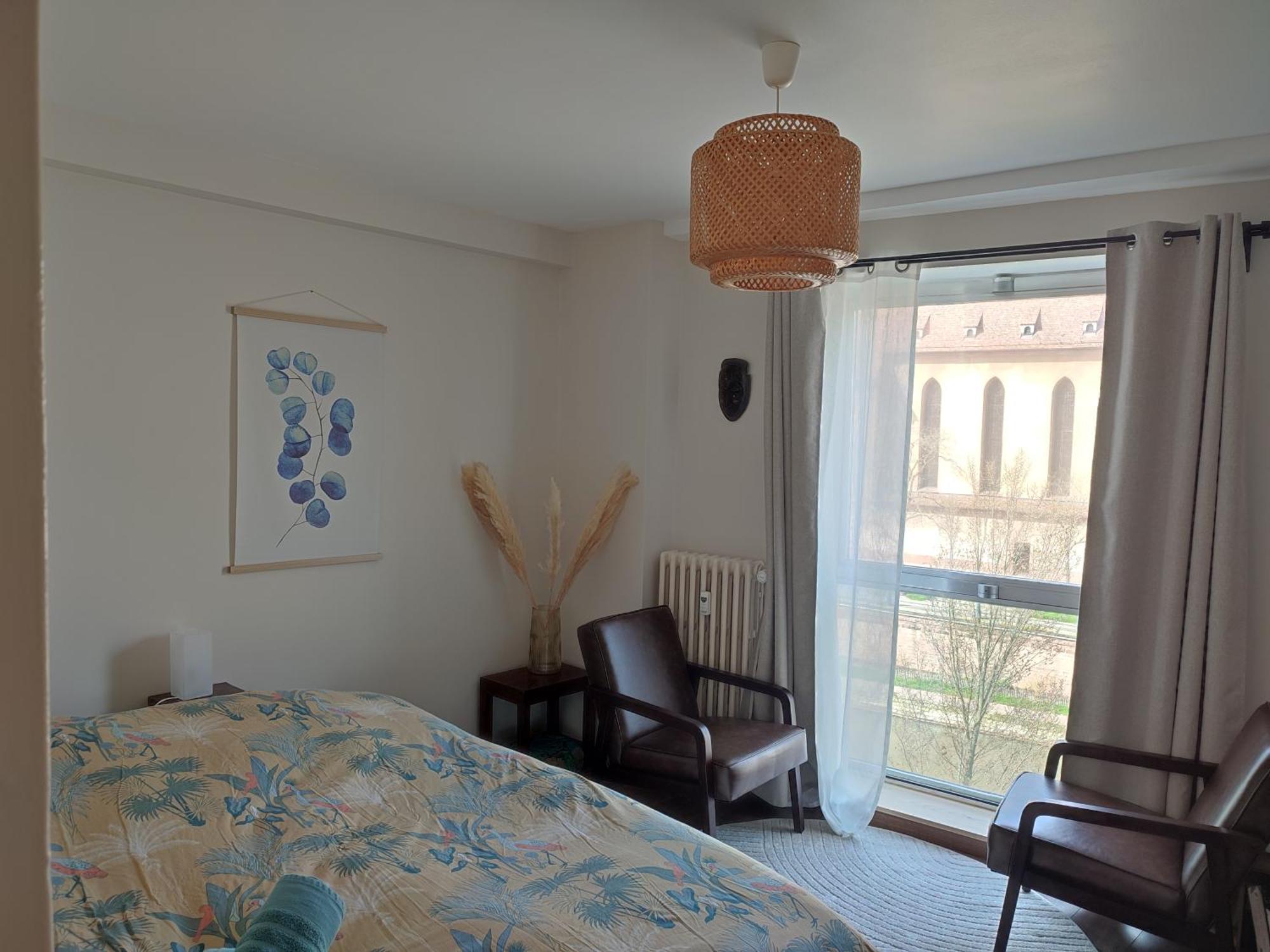 Au Coeur De Strasbourg, 3 Pieces Vue Sur L'Ill! Appartement Buitenkant foto
