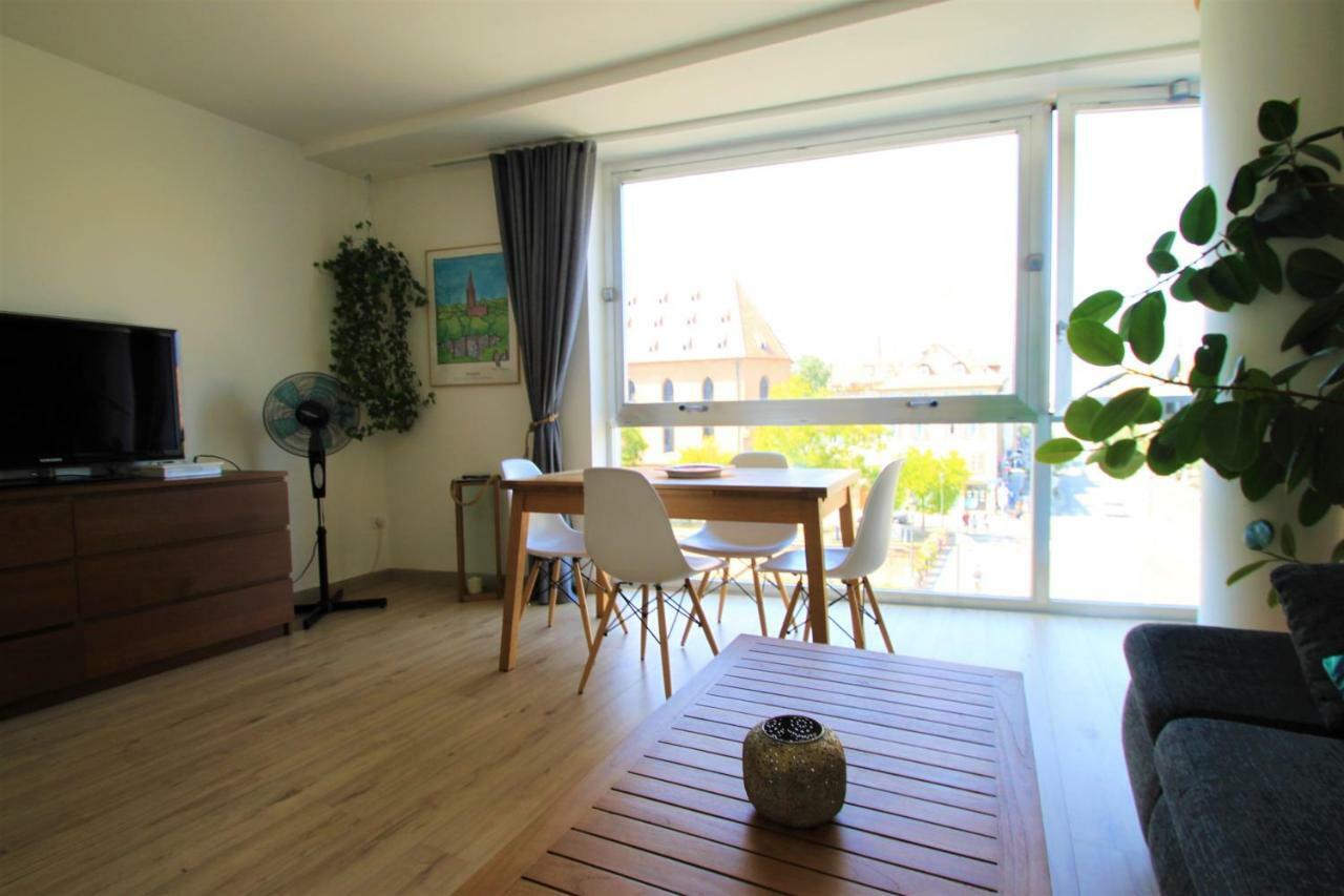 Au Coeur De Strasbourg, 3 Pieces Vue Sur L'Ill! Appartement Buitenkant foto